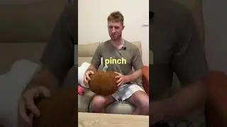 Common Touching Verbs  
