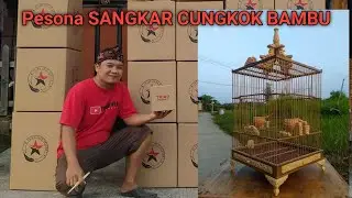 SANGKAR CUNGKOK BAMBU & RESIN.#sangkarcungkok