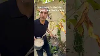 احتراق واصفرار أوراق الشجر وتيبس وموت النبات 🍂🍁مشكلة تحتاج إنقاذ وحل فوري ( الاسباب والعلاج )