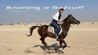 Horse riding in the Desert || Dubai