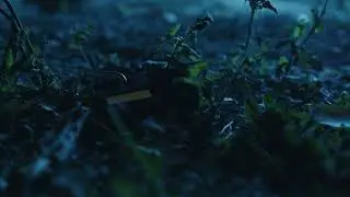 audio_teaser_002