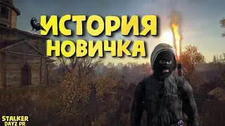 DayZ Stalker RP ИСТОРИЯ НОВИЧКА| ДЕЙЗИ ГЛАЗАМИ НОВИЧКА В 2023 ГОДУ