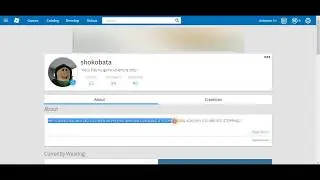 roblox account description?