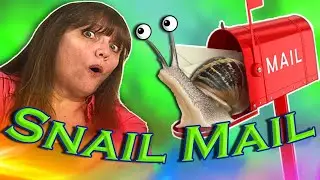 How to Organize Snail Mail in 3 Simple Steps