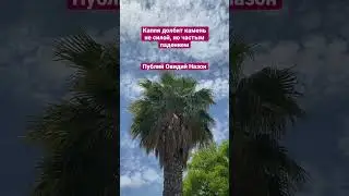 Мудрость Древних