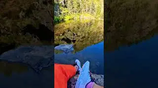 Медитативное место. #mokragora #beutifull #nature #shorts