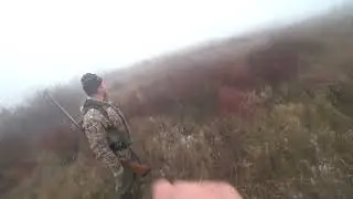 Охота с РГ 2023 г №10