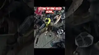 Getting my King Killed AGAIN 