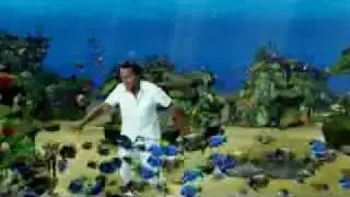 LA AVENTURA DEL MAR -Diego torres - El Delfín la historia de un soñador