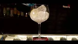 Video Cocktail Rosales20