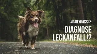 War das ein Leckanfall bzw. Licky Fits? [DailyGassi #3]