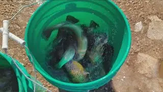 Trout fishing season begins in WNY