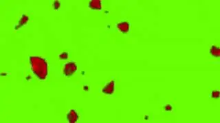 Rose green screen background flower animation effects