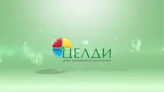 Презентация компании "Целди"