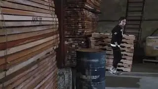 jeeja yanin kung fu muay thai