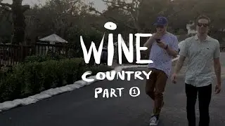 A Trip to Wine Country in a Limo!🍷🚗