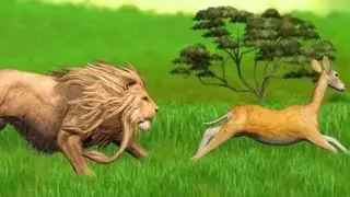 #cartoon#lion run behind the deer#greenscreen #greenbackgroundvideo #pyara Pak tv