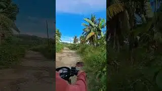 Part 3 Road Trip