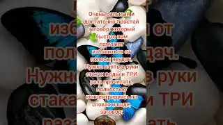СКАЖИ СЕЙЧАС | Заговор для избавления от неудач | Тик Ток | Магия Жизни 