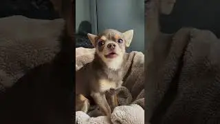 Колыбельная от Лёнчика. Всем доброй ночи 😘