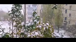 26 октября. 2023г. Камышин выпал первый ❄️