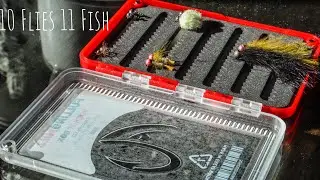 A Fly Fishing Challenge: 10 Flies 11 Fish