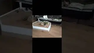 журнальный столик консоль ТВ бар
