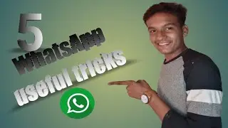 Top 5 2022 secret WhatsApp tips and tricks should you know