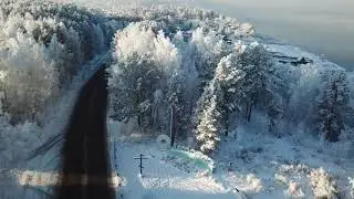 Герб, Гимн, Стелла Лесосибирска
