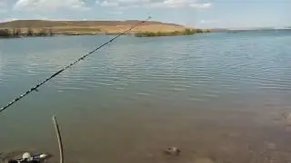 OLTAYA BALIK VURDU