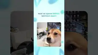 …и ничего не поделать 😁 