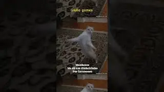 #shorts #viral #viralvideos #memes #cat #catshorts