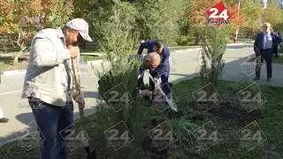 В ДИМИТРОВГРАДЕ ПОЯВИЛАСЬ «АЛЛЕЯ ДРУЖБЫ НАРОДОВ»