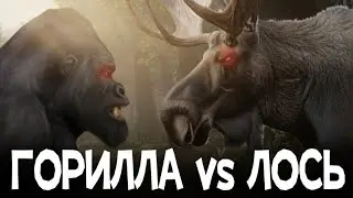 ГОРИЛЛА vs ЛОСЬ [WildCraft]