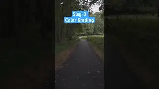 Sony A7iv Slog 3 Color Grading #colorgrading #slog3
