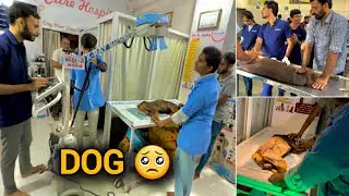 Dekhiye Aaj to hamare dog ko opresion me le gye 😭