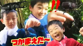 とれる！かんたん！カブトムシ・クワガタがとれたよ！