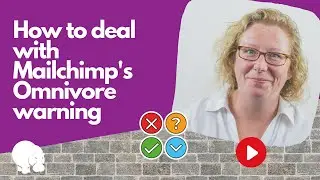 Email Hippo how to deal with Mailchimp's Omnivore Warning
