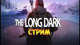 Кооперативное прохождение / The long dark