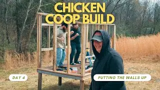 Chicken Coop Build Day 4 Putting The Walls Up
