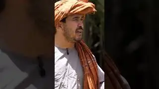 د طوفان اکا پر دې جنجال دی چې شامو ولې وټوخل🤣