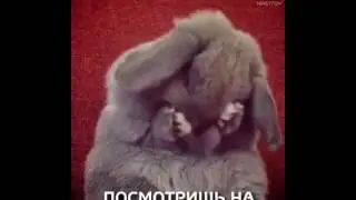 Няша