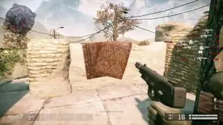 Warface: АПП 81 РАНГА!