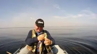 Russia & Latvia DEAF fishing. Ladoga 21/08/2016