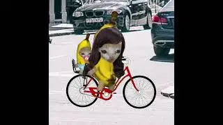 BANANA CAT 🍌🐱 BABY WAS IN BIKE ACCIDENT AND TRAMPOLINE RESCUE 