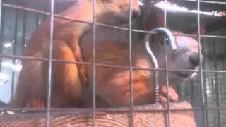 MOV 0008