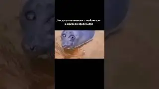 Грустный мем #shorts #грустныймем #мем