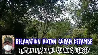 RELAXATION HUTAN GURAH KETAMBE TAMAN NASIONAL GUNUNG LEUSER