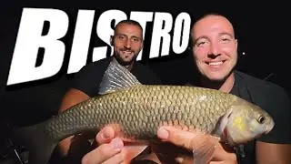 Pecanje na Bosni sa Žiletom - Dubinski sistem - lude akcije i riba za ribom!!