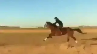 НАҒЫЗ ЖҮЙРІК АТ